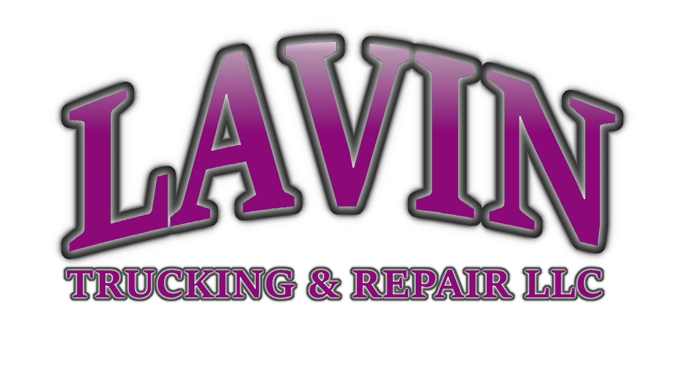 LAVIN LOGO LIGHTENED (1)2